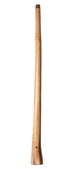 Wix Stix Didgeridoo (WS446)